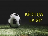 Kèo lựa là gì? Những bật mí thú vị từ các cao thủ về kèo lựa