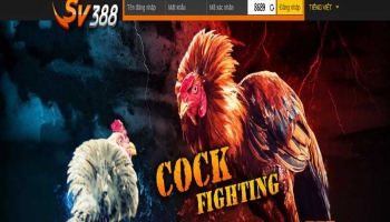 SV388 Link – Link truy cập nhà cái đá gà trực tiếp hàng đầu châu Á