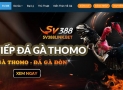 Giới thiệu về trang đá gà Sv388 cho người chơi mới tìm hiểu lần đầu