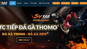Giới thiệu về trang đá gà Sv388 cho người chơi mới tìm hiểu lần đầu
